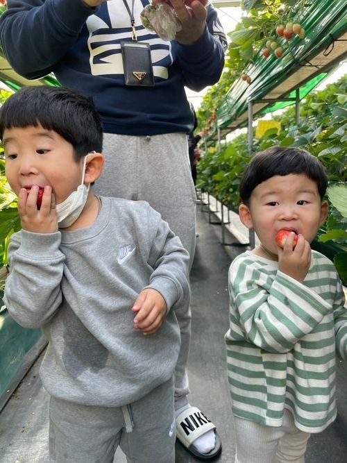 화성 아기농부 아기랑 가기 딱인 곳