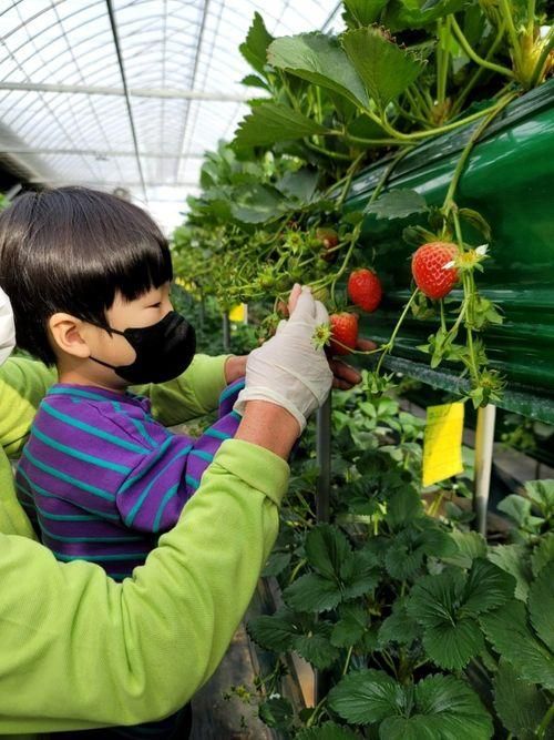 겨울 아이들과 가볼만한 곳 화성 아기농부 팜스테이...