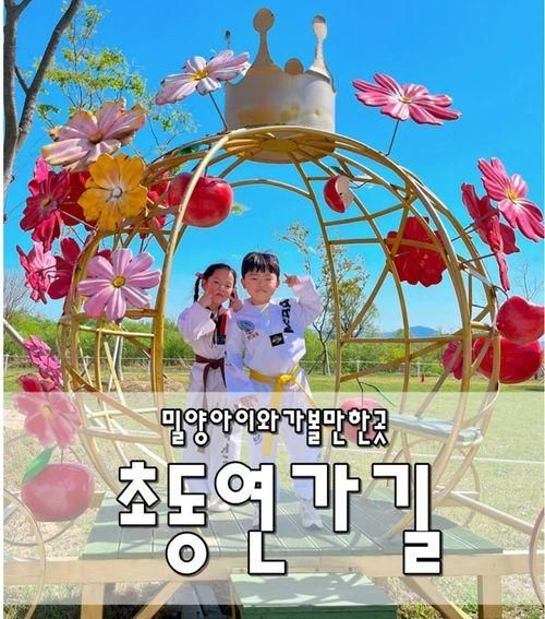 밀양 걷기 좋은 산책길 추천 '초동연가길' 가을엔 코스모스 꽃길