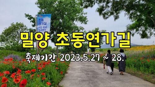 밀양 초동연가길 꽃길만걷자 축제기간 2023.5.27. ~ 5.28.