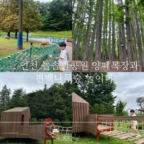 인천 아이랑갈만한곳 늘솔길공원 양떼목장과 편백나무숲 놀이터