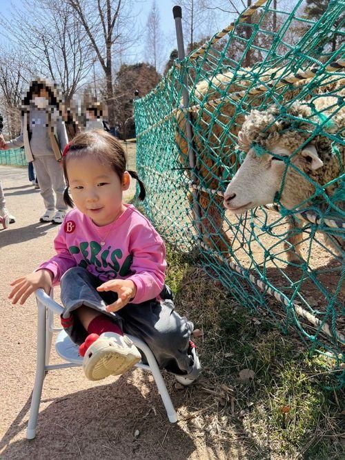 인천 논현동 늘솔길공원 양떼목장 | 아이랑 가볼 만한 공원 나들이