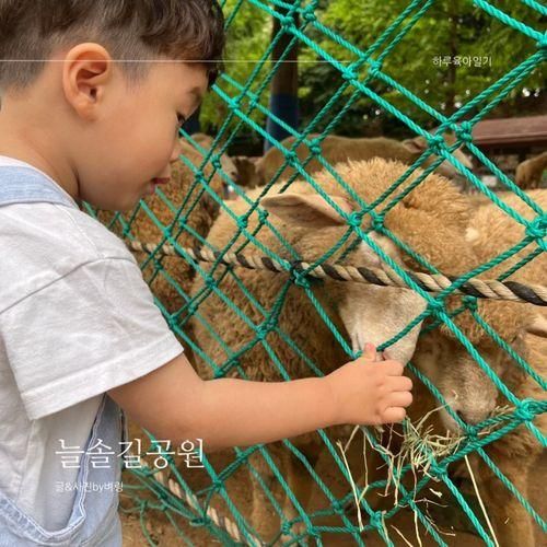 [인천아이랑] 늘솔길공원 양떼목장 아이가 좋아해:)