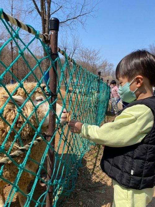 인천아이랑가볼만한곳... 인천 논현동 늘솔길공원 양떼목장 무료