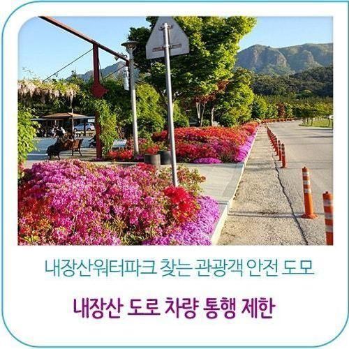 정읍 내장산 문화광장～워터파크 사이 도로 차량 통행 제한