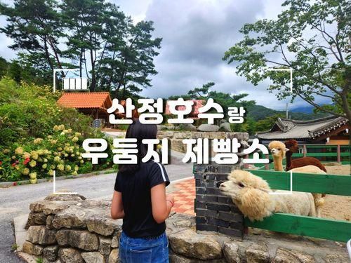 경기도 포천 산정호수, 우둠지제빵소까지 한번에 가볼만한곳