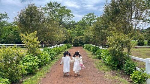 제주조천/ 카페말로