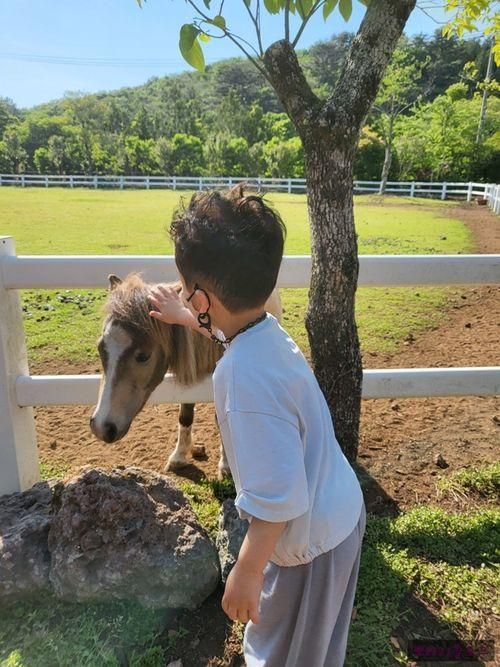 아이와 가기 좋은 제주도 목장카페 사려니숲길 '카페말로'