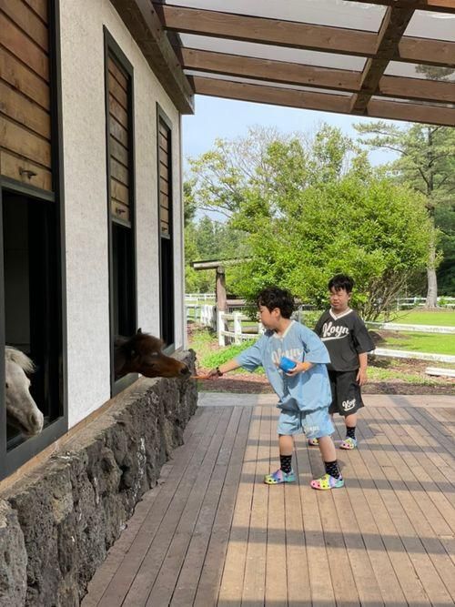 제주 조천 카페 말로 알파카 말 먹이주기체험