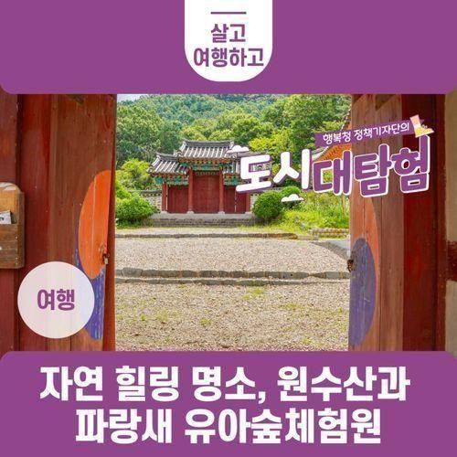 자연 힐링 명소, 원수산과 파랑새 유아숲체험원⛺