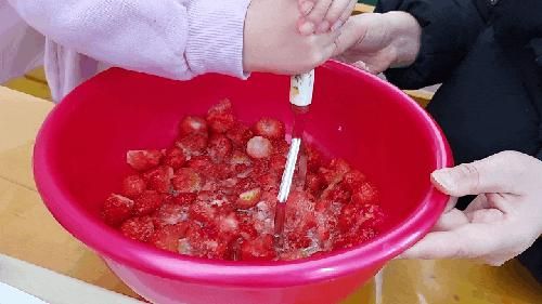 [대전/세종 주말나들이] 아이들과 함께 행복한 농장 딸기체험...