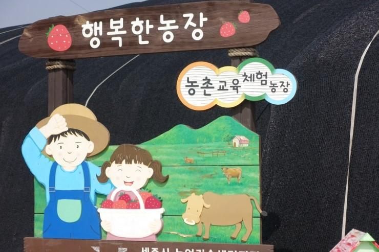 [20150315] 세종 행복한농장 딸기체험