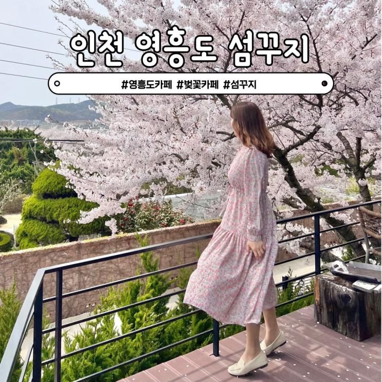 인천 영흥도 벚꽃 테라스 카페 섬꾸지 실시간 벚꽃 만발!