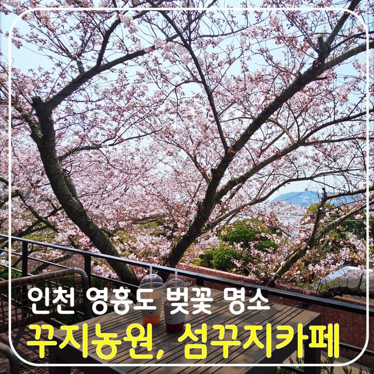 인천 영흥도 벚꽃 명소 정원 뷰가 멋진 힐링 카페 섬꾸지와 봄꽃...