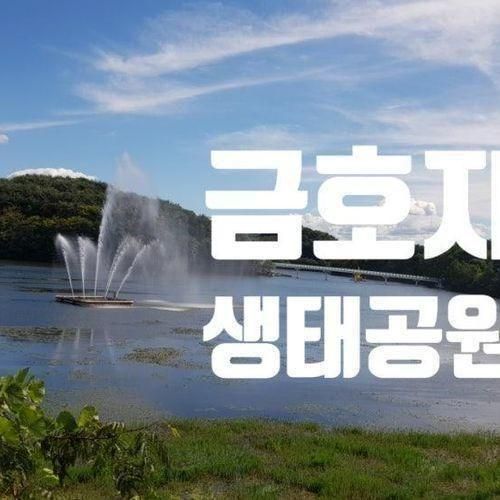 곳] 하모가 반기는 푸르미르공원, 진주 금산 금호지생태공원 산책