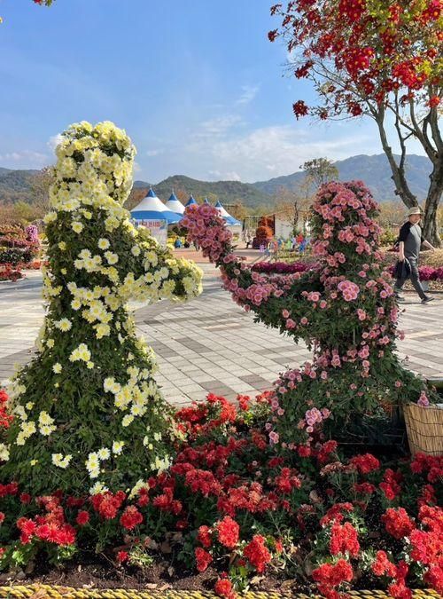 경남 거창 가볼만한 곳 창포원의 가을 국화축제