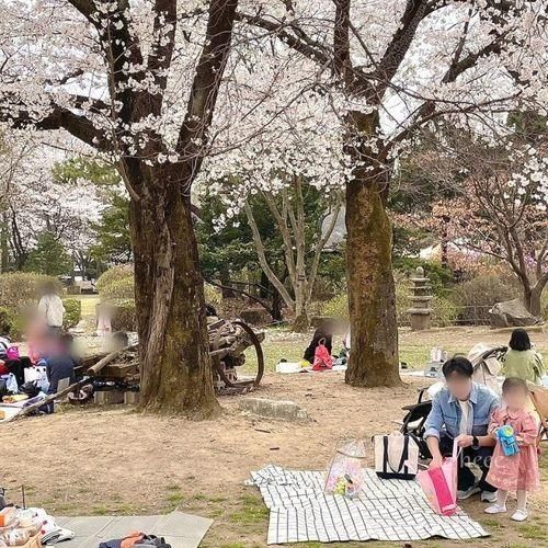 포천 가족나들이 아기랑 갈만한곳 서운동산 주차 식당