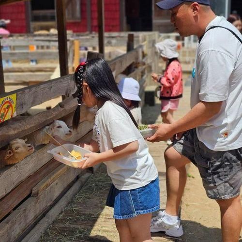 갈만한 곳 동물먹이주기체험 할 수 있는 경기도 포천 서운동산