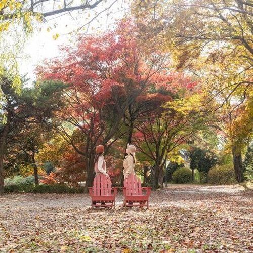 포천 서운동산 서울근교 갈만한곳 단풍구경 주말 데이트