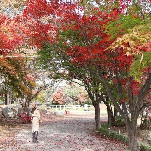 가을 포천 가볼만한곳 서운동산 단풍구경 경기도 나들이