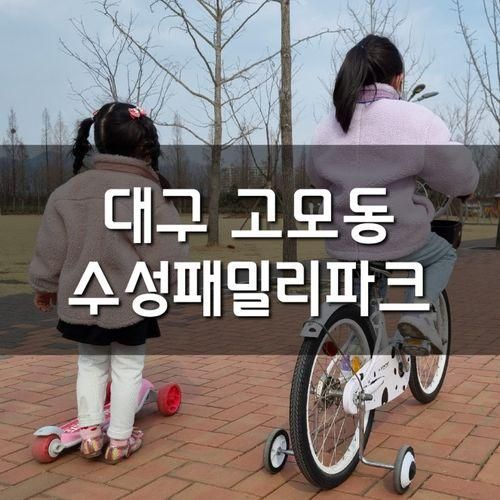 대구 아이랑 가볼 만한 곳, 수성구 고모동 수성패밀리파크...