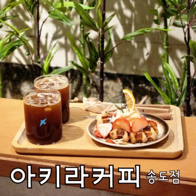 일본 감성 카페, 송도 핫플 '아키라커피 송도점'