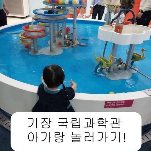 기장 국립부산과학관 새싹누리관 아기랑 예약가는법!