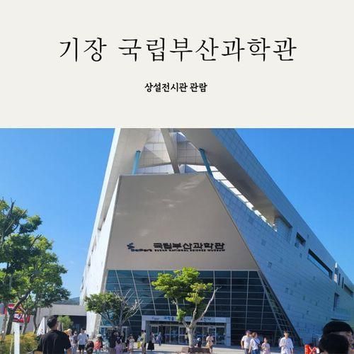 기장 국립 부산 과학관 예약 주차 상설전시관