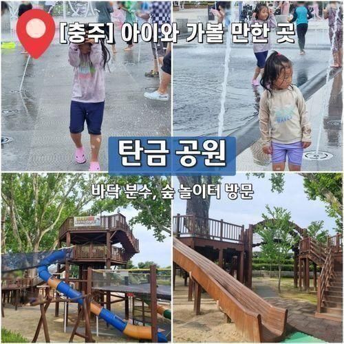 [충주] 탄금공원 바닥분수에서 숲 놀이터까지 완벽한 나들이 (구...