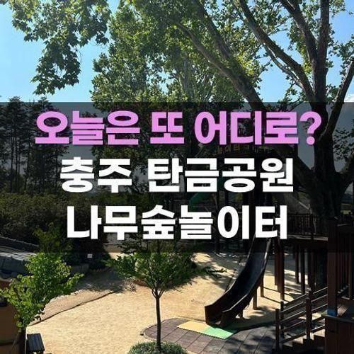 충주 아이와 가볼만한곳 탄금공원 나무숲놀이터 야외놀이터로...