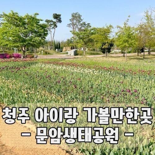 문암생태공원 바베큐장 강아지 놀이터 청주 아이랑 가볼만한곳