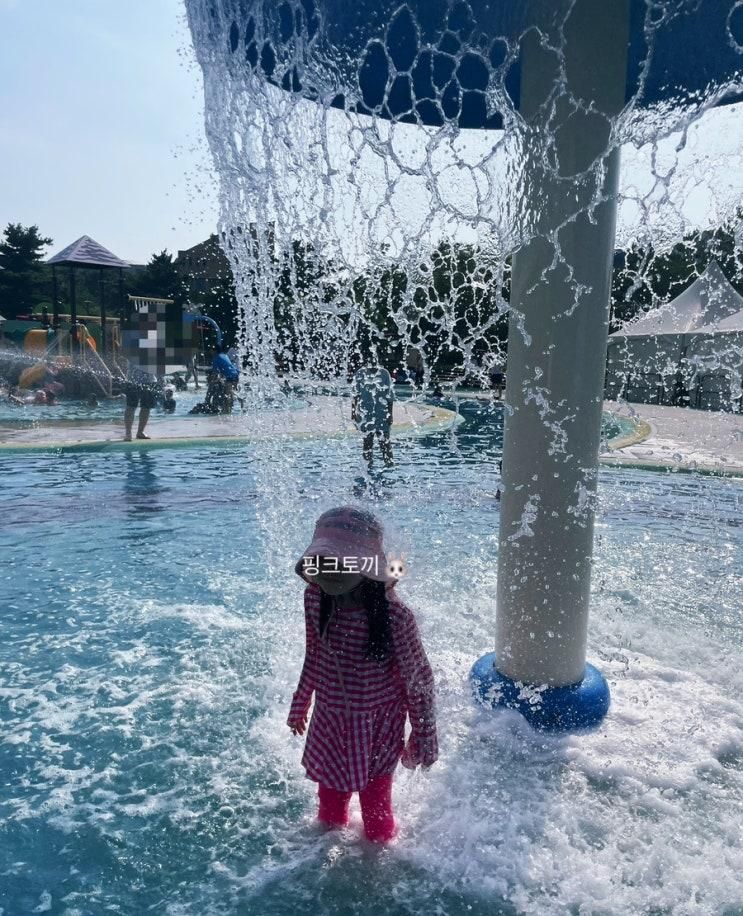 [안산]안산 와동체육공원/ 와동공원물놀이장 즐기고~곤충...