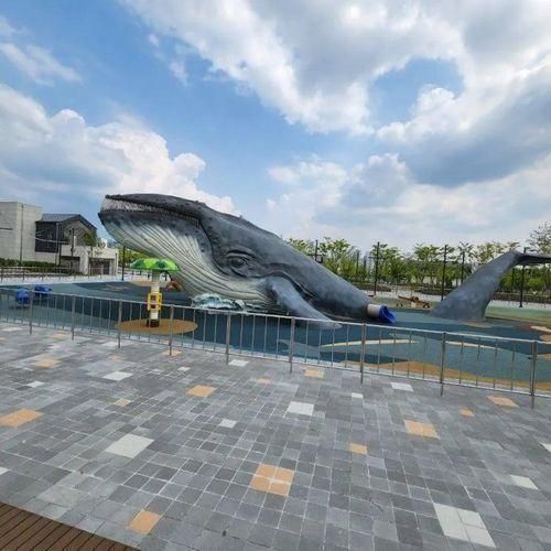 청주 주중동 생명누리공원 개장!! 고래 놀이터 물놀이장