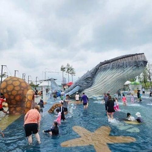 청주 가볼만한곳 - 생명누리공원 물놀이장 고래물놀이터 개장