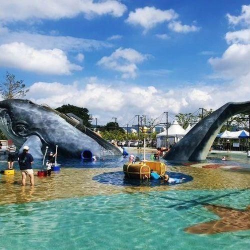 청주 물놀이장: 생명누리공원 물놀이터, 주중동 고래놀이터