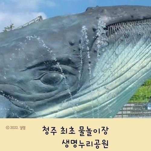 청주 최초 물놀이장 _ 생명누리공원
