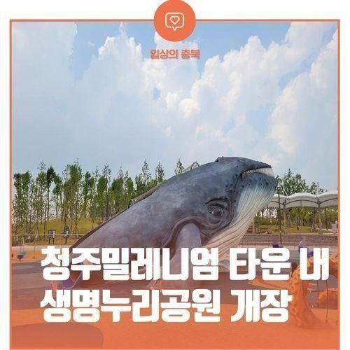 푸른 꿈을 가진 고래가 기다리는 곳 “청주 생명누리공원”