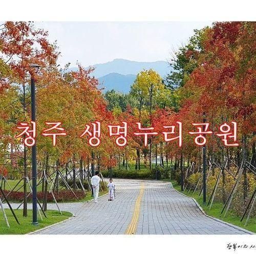 청주 생명누리공원_ 생명을 누리는 세상을 뜻하는 공원