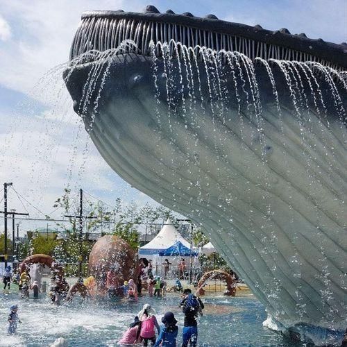 여름방학 물놀이, 청주 생명누리공원 대형 고래 물놀이장
