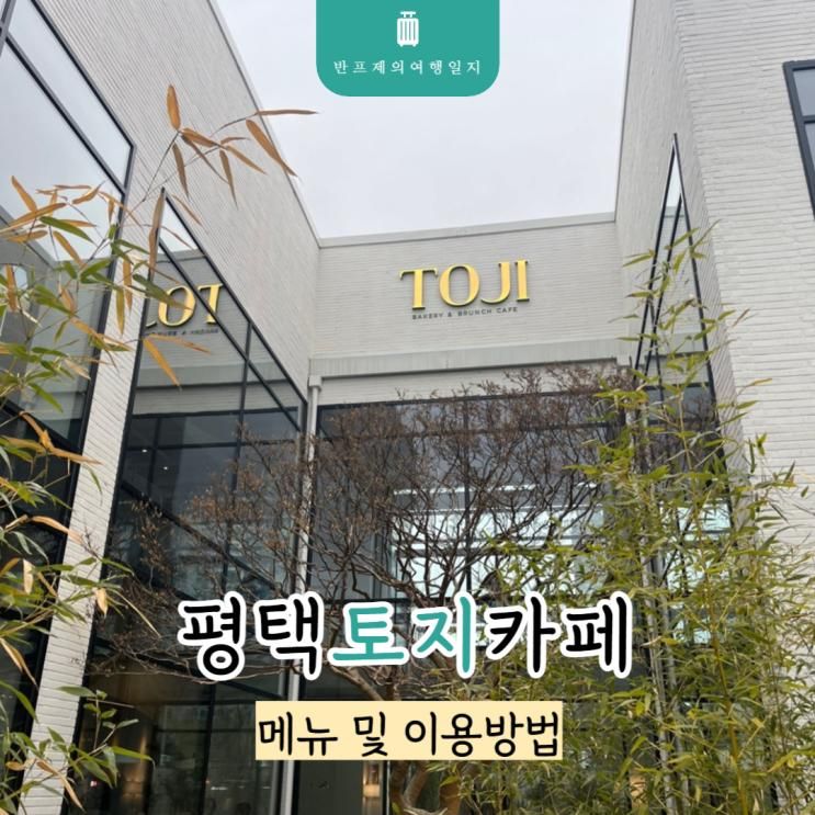 평택 토지카페 베이커리 메뉴 오픈런 내부 시설 확인해요