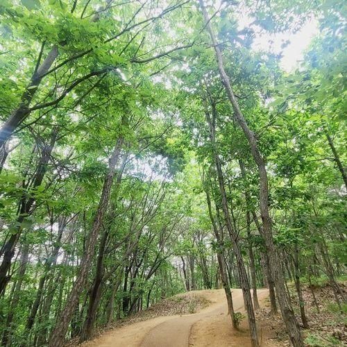 등산이 가능한 동탄 선납숲공원 물놀이터 산책 피크닉