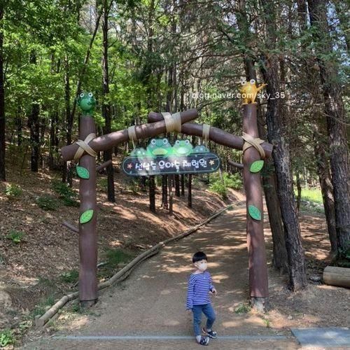 동탄 선납숲공원 숲놀이터 유아숲체험원