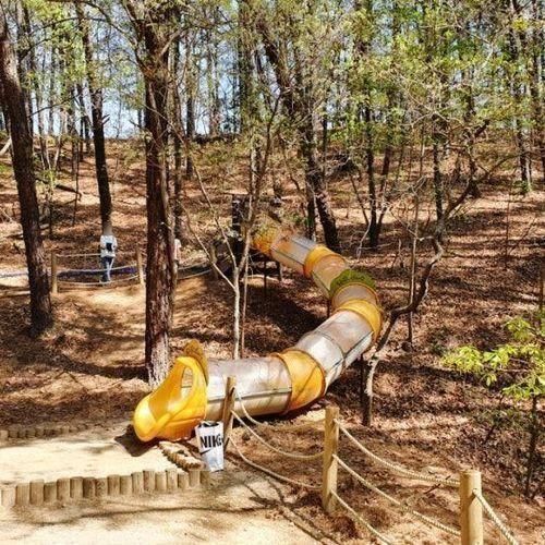 동탄 선납숲공원 숲놀이터 올챙이 선납지 공원 산책