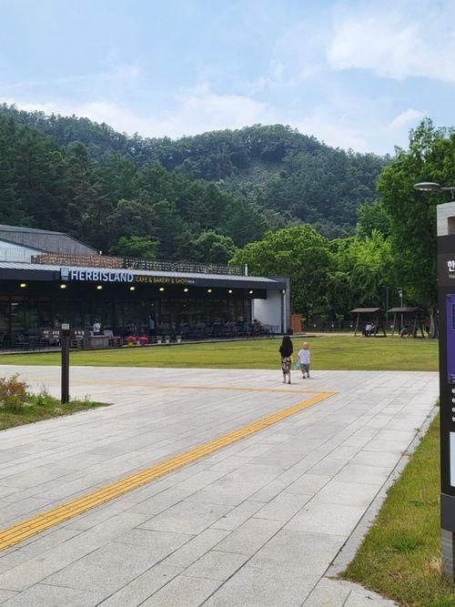 아이랑 가기 좋은 카페 허브아일랜드 한탄강점
