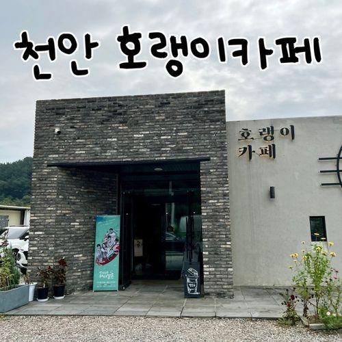 천안 광덕산 주변 캠핑장 산책으로 호랭이카페 가기 (아아꿀맛)