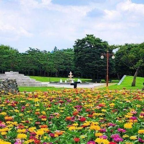 서울 여름여행 상암 평화의공원