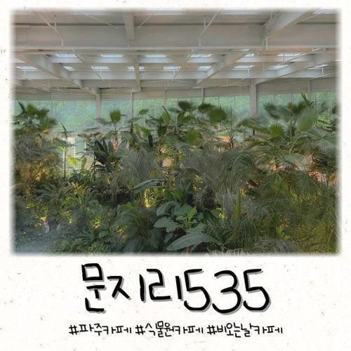 파주 문지리535 푸릇푸릇한 식물원 카페