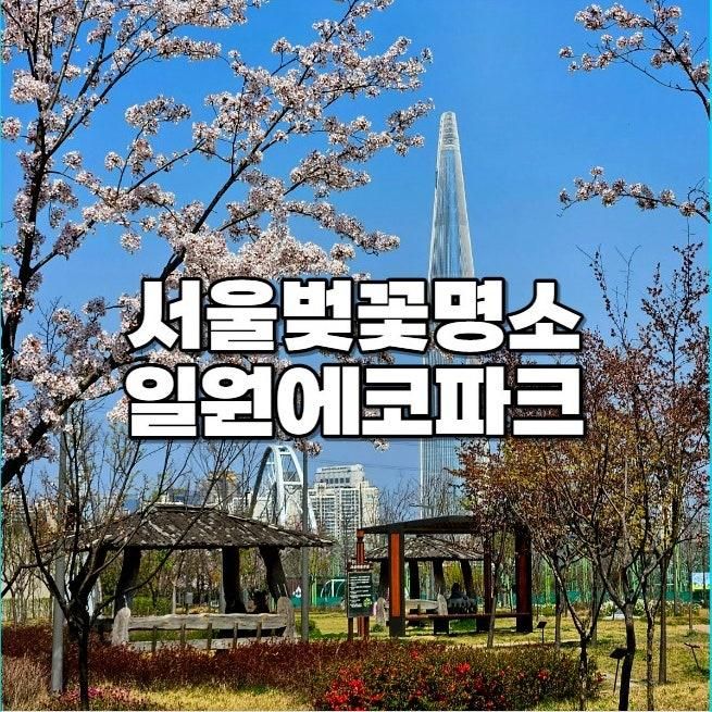 서울 강남 벚꽃명소 일원에코파크 식물원 주차 일원 에코문...