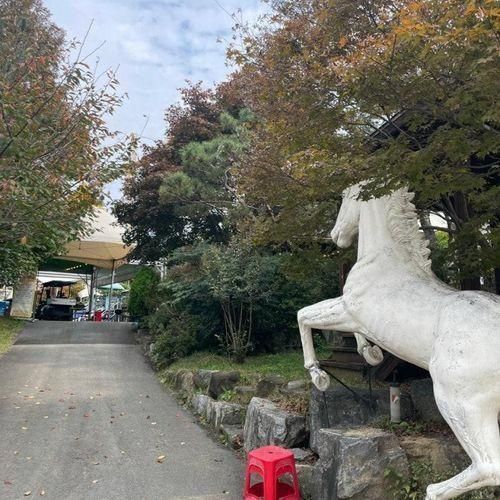 청주가볼만한곳/사파리투어 체험도 가능한 : 마부농원