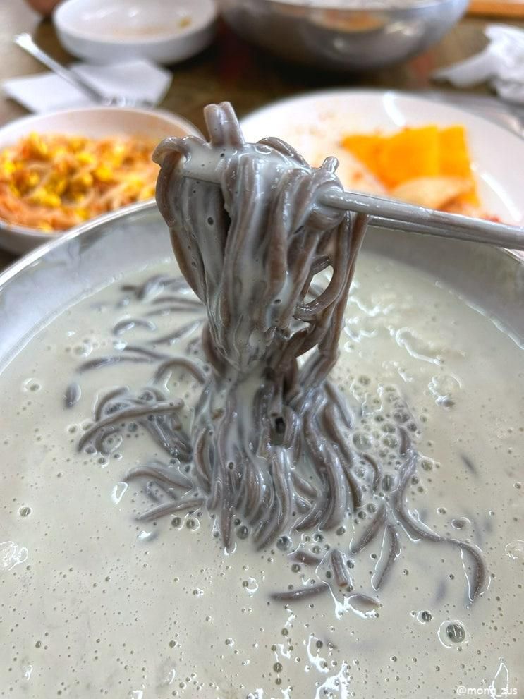 콩물 국수 맛집 [화순 맷돌 콩물 국수] & 화순 춘양면 카페 [몽리브]